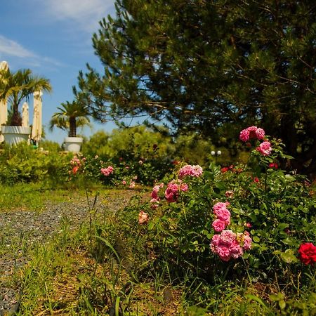 New Egreta Resort Dunavăţu de Jos Exteriér fotografie