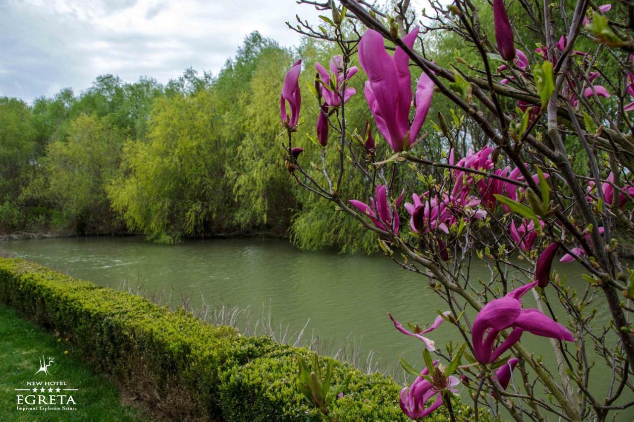 New Egreta Resort Dunavăţu de Jos Exteriér fotografie